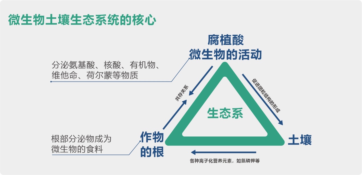 高品質有機小肽原液